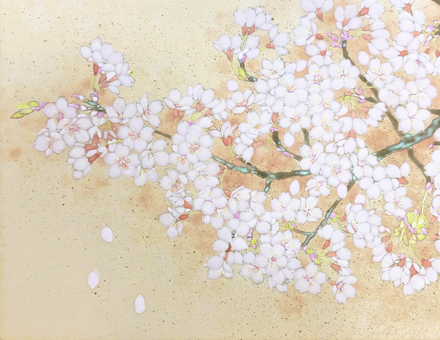 Cherry blossom in Japanese painting