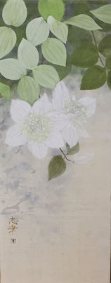 White clematis flowers in Japanese painting