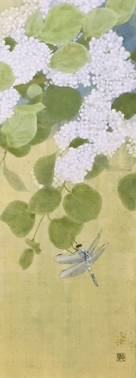 Flowers of Japanese snowball and a dragonfly in Japanese painting