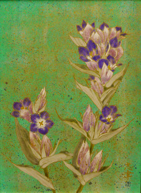 Flowers of gentian in Japanese painting