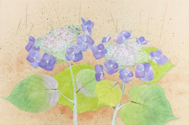 Two flowers of hydrangea in pastel colors in Japanese painting