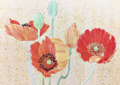 Flowers of poppy in Japanese painting