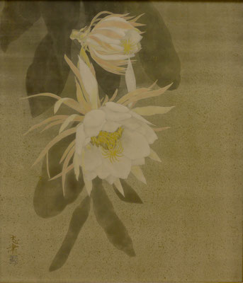 A flower of queen of the night in Japanese painting