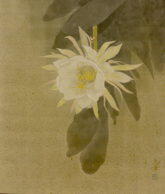 A flower of queen of the night in Japanese painting